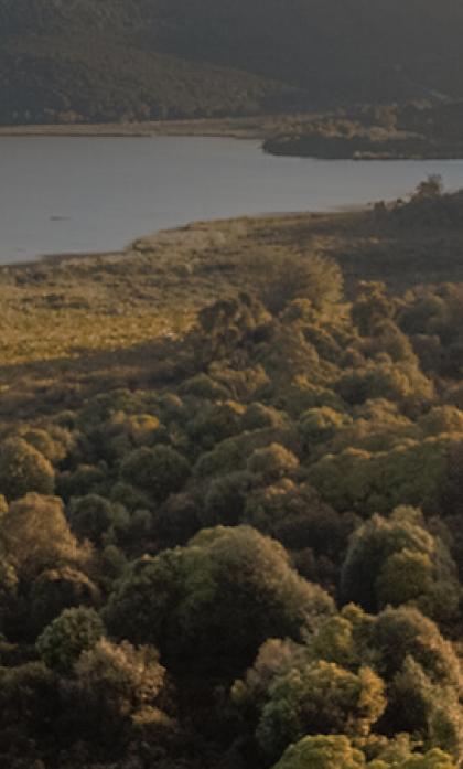 שאלות נפוצות