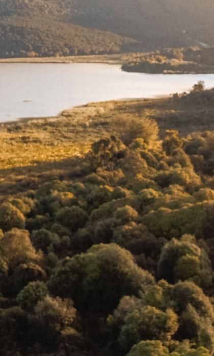 frequently asked questions שאלות נפוצות