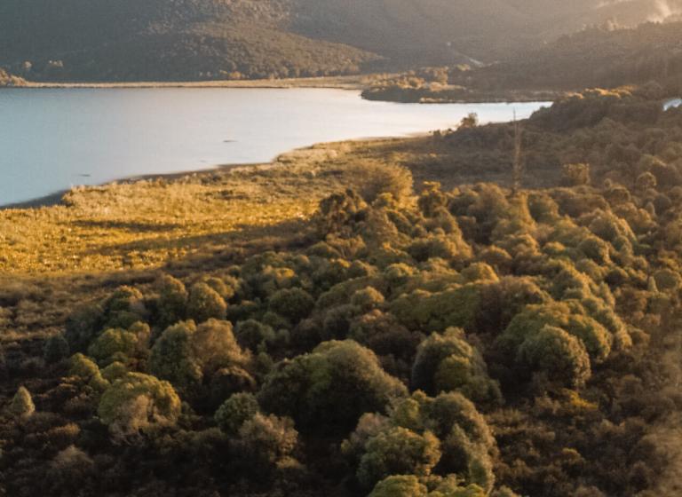 frequently asked questions שאלות נפוצות